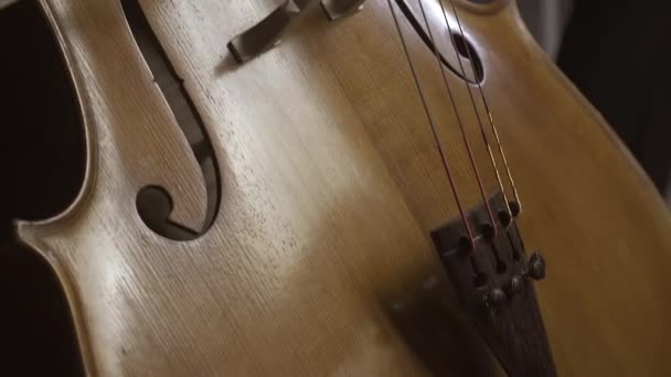 Profesionální cellistní hraní na pódiu zblízka — Stock video