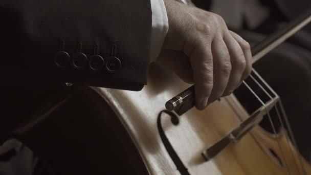 Професійний віолончеліст грає на сцені крупним планом — стокове відео