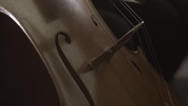 Professioneel symfonisch orkest dat op het podium presteert — Stockvideo