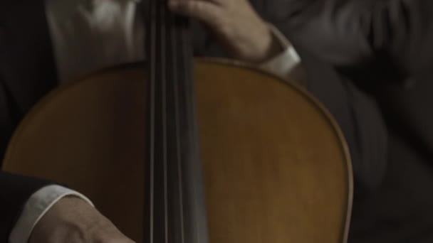 Professional cellist playing on stage close up — Stock Video