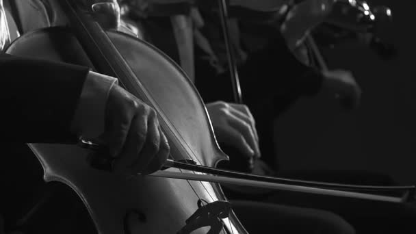 Orchestra sinfonica professionale che si esibisce sul palco — Video Stock