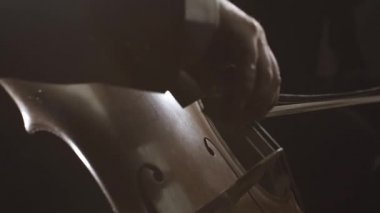 Profesyonel senfonik orkestra sahnede performans sergiliyor