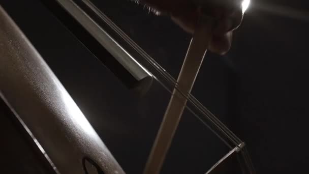 Виолончелист играет на своем инструменте крупным планом — стоковое видео