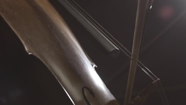 Виолончелист играет на своем инструменте крупным планом — стоковое видео