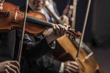 Senfonik yaylı çalgılar orkestrası sahnede performans sergiliyor