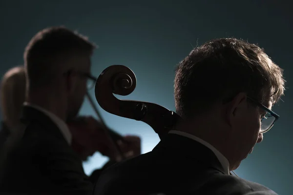 Músicos profesionales tocando un concierto de música clásica — Foto de Stock