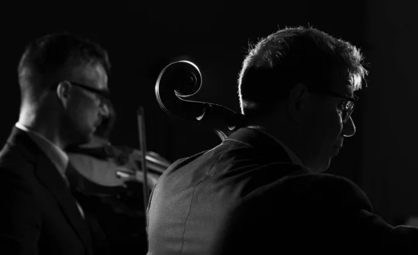 Músicos profesionales tocando un concierto de música clásica —  Fotos de Stock