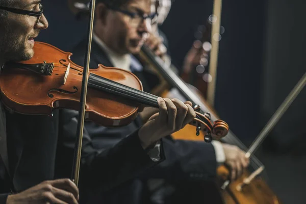 Symphonic string orchestra performing on stage