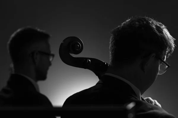 Músicos profesionales tocando un concierto de música clásica —  Fotos de Stock