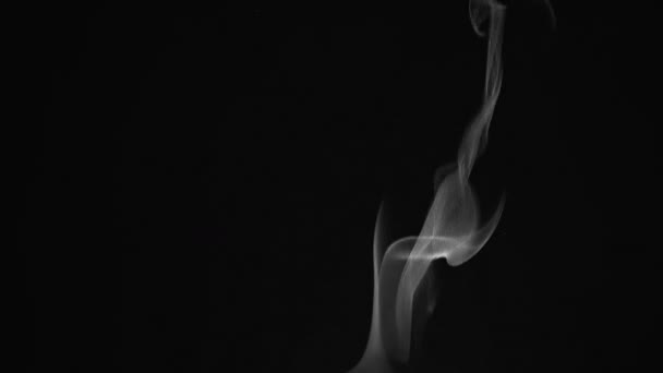 Humo blanco subiendo sobre fondo negro — Vídeo de stock