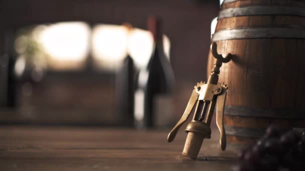 Дегустація вина в підвалі — стокове відео