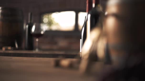 Equipo de cata de vinos en la bodega — Vídeos de Stock