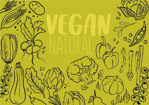 Bir dizi farklı karalama sebze el basit çizim taslağı ve sebze tasarımının yumuşak gölge cazibesi. Doğal vegan metni ile illüstrasyon