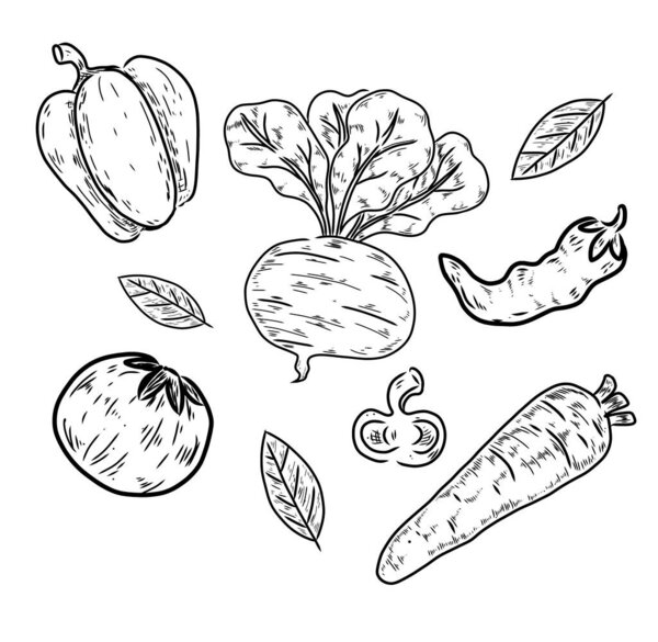 Set Different Doodle Vegetable Hand Draw Simple Sketch Outline Softly Royalty Free Stock Photos