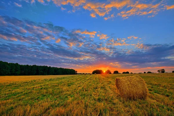 Sunset Hay Bales Field — Stock Photo, Image