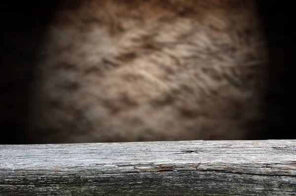 Prázdný dřevěný stůl — Stock fotografie