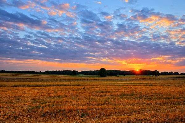 Pôr do sol nos campos de verão — Fotografia de Stock