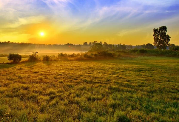 Apus de soare pe câmpurile de vară — Fotografie, imagine de stoc