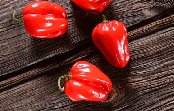 Pimentos de habanero frescos — Fotografia de Stock