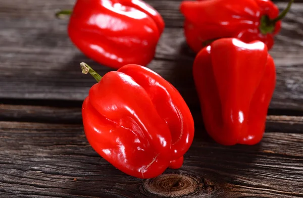 Fresh habanero peppers — Stock Photo, Image