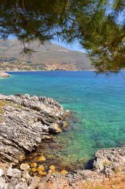 Güzel yaz manzarası