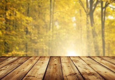 ürün görüntüleme montages boş tablo