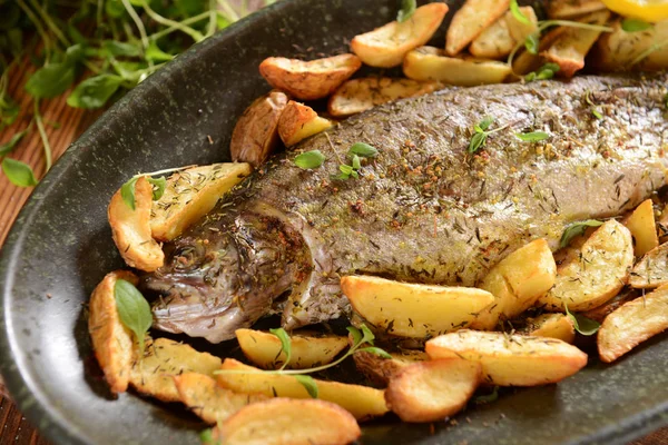 Roasted trout with potatoes — Stock Photo, Image