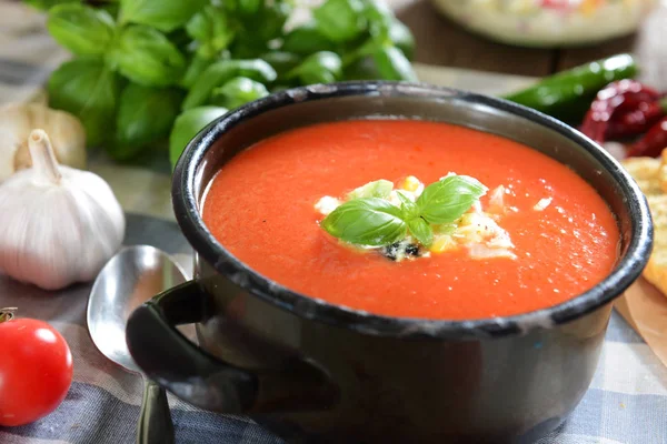 Lezzetli gazpacho çorbası — Stok fotoğraf