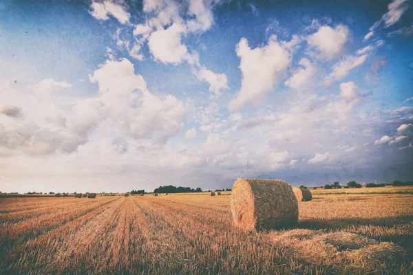 Paisagem Vintage Com Fardos Feno — Fotografia de Stock