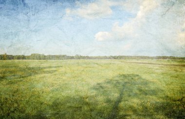 güzel bağbozumu yaz manzara arka plan