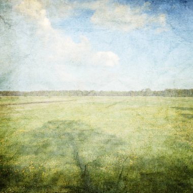 güzel bağbozumu yaz manzara arka plan