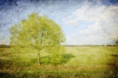 güzel bağbozumu yaz manzara arka plan