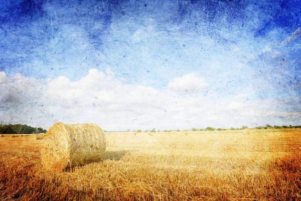 Fardos Feno Campo Após Colheita Polônia Estilo Vintage — Fotografia de Stock