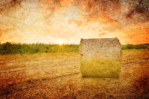 Hay Bale Field Harvest Poland Vintage Version — Stock Photo, Image