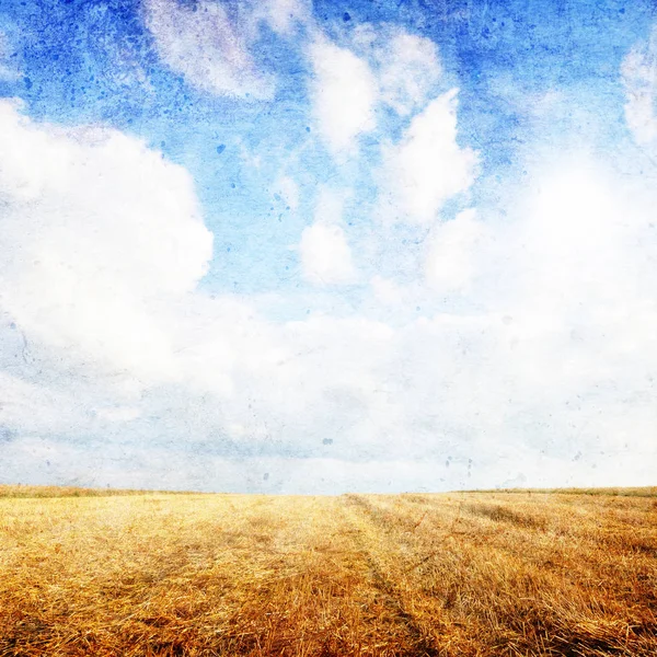 Summer Landscape Wheat Field Blue Sky Clouds Vintage Style — Stock Photo, Image