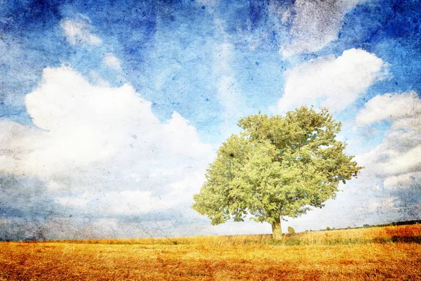 Красивий Літній Пейзаж Зеленими Деревами Блакитним Небом — стокове фото