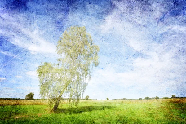 Alan Ağaç Mavi Gökyüzü Ile Antika Arka Plan — Stok fotoğraf