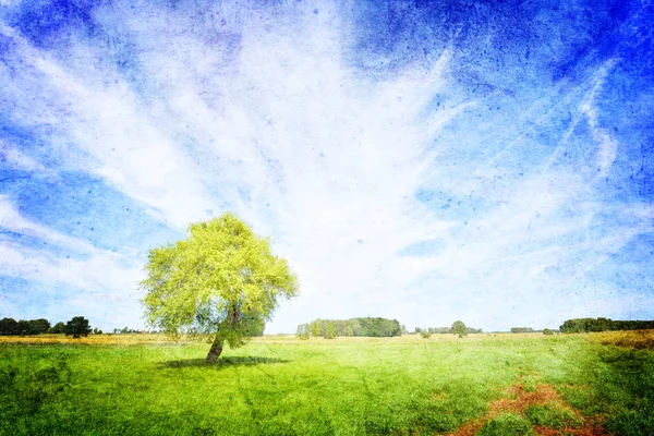 Fondo Vintage Con Campo Árbol Cielo Azul — Foto de Stock