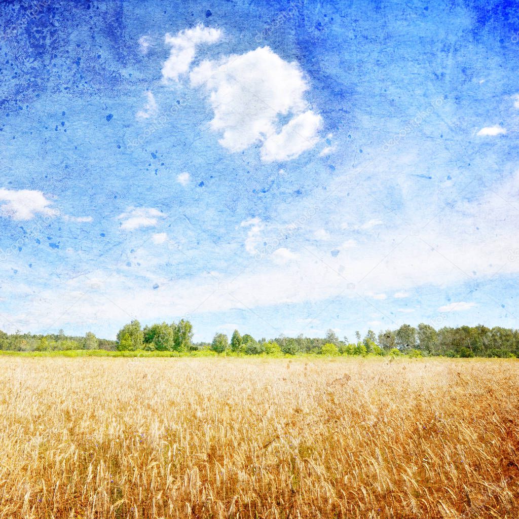 Summer landscape with Wheat field and blue sky with clouds- Vintage style