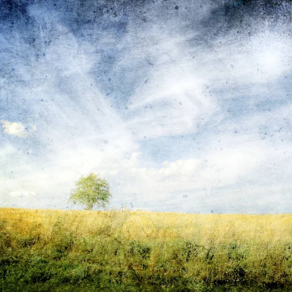 Літній Пейзаж Пшеничним Полем Блакитним Небом Хмарами Вінтажний Стиль — стокове фото