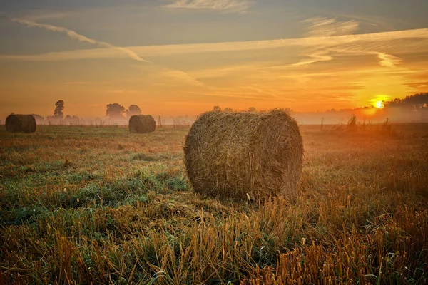 Belo Pôr Sol Sobre Campo Com Fardos Feno — Fotografia de Stock