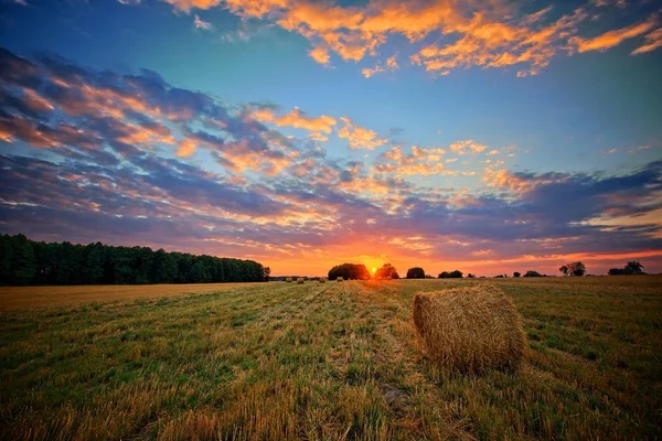 Hermosa Puesta Sol Sobre Campo Con Fardos Heno — Foto de Stock