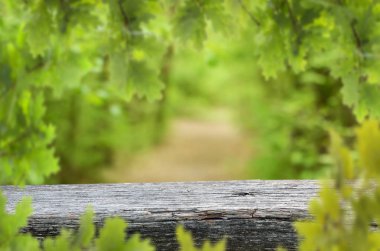 görüntü montages boş tablo