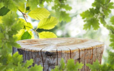 Görüntü montages için boş ağaç gövdesi