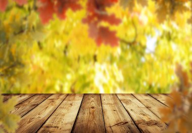 ürün görüntüleme montages boş tablo