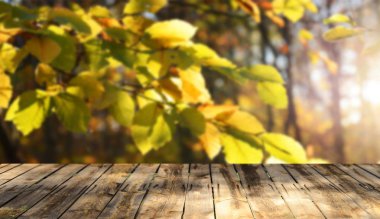 Görüntü montages boş ahşap tablo