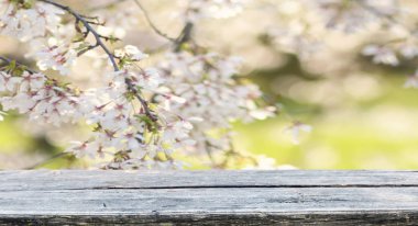 görüntü montages boş tablo