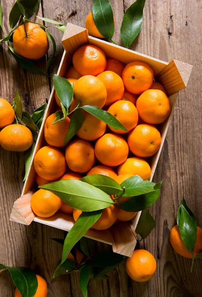 Vista Perto Das Tangerinas Recém Colhidas — Fotografia de Stock