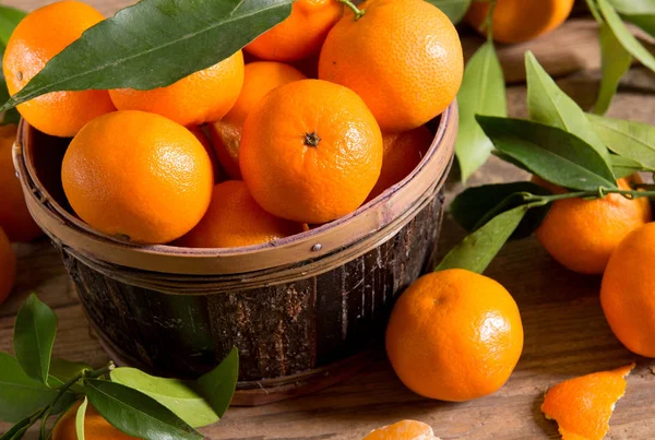 Vista Perto Das Tangerinas Recém Colhidas — Fotografia de Stock