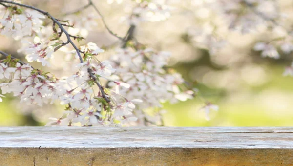 Fondo Primavera Listo Para Sus Montajes Pantalla — Foto de Stock